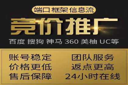 某企业通过SEO和SEM双管齐下实现业绩飞跃的案例